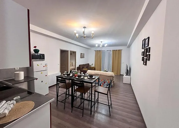 Appartement Avec 2 Jardin Prive Parking Gratuit Clermont-Ferrand